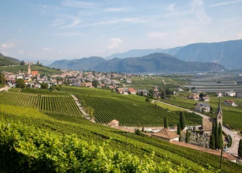 Traubenfest in Meran